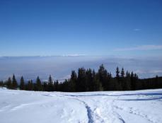 Path to Black peak - Cerni vruh, Vitosha mountain