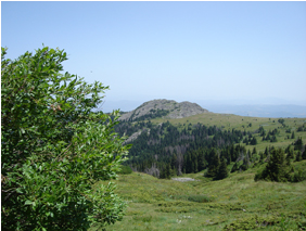 Vitosha - the area of the Natural reserve Bistrishko Branishte